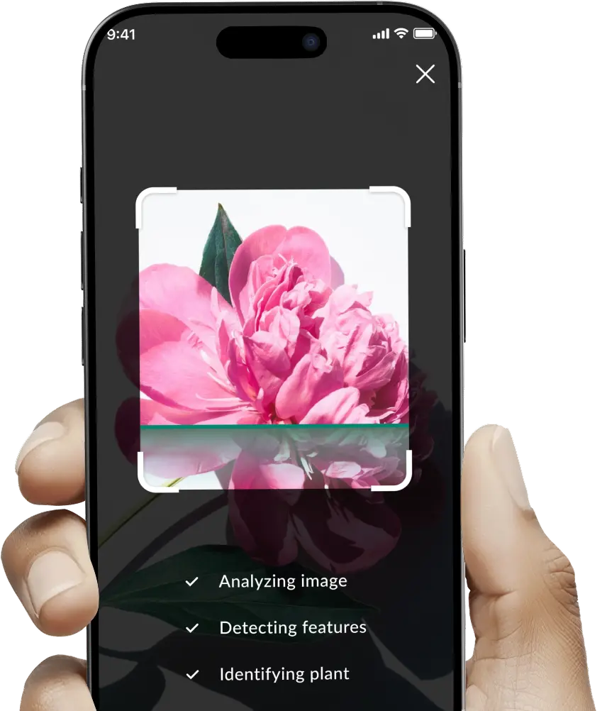 Plant Identifier