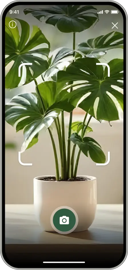 Phone Mockup